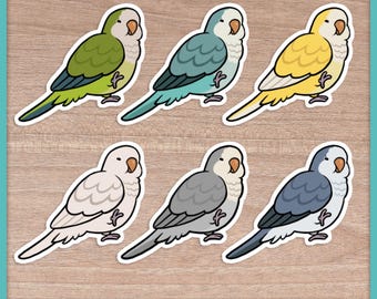 Quaker Parrot (Cuties) Stickers