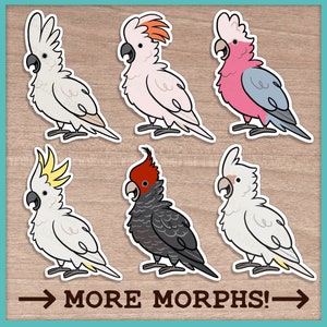 Stickers cacatoès (mignons)