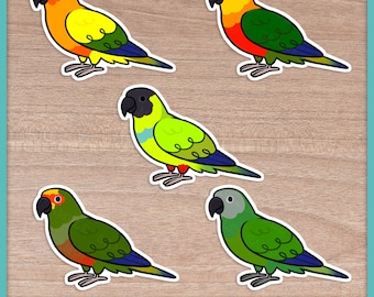 Conure (Aratinga) Cuties Stickers