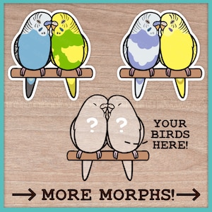 Custom Budgie Pair Stickers