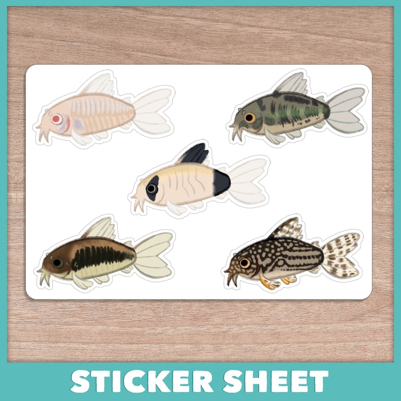 Corydoras Catfish Stickers + Sticker Sheet image 2