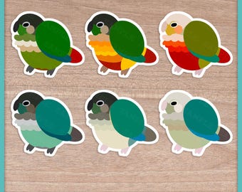 Conure (Pyrhurra) Fluffballs Stickers