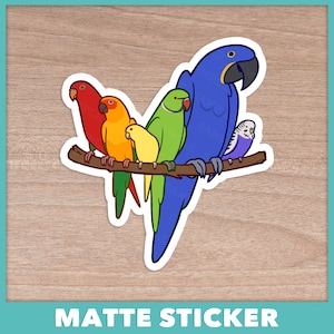Pride Parrots On A Branch Sticker