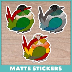 Conure (Pyrhurra) Preeners Stickers