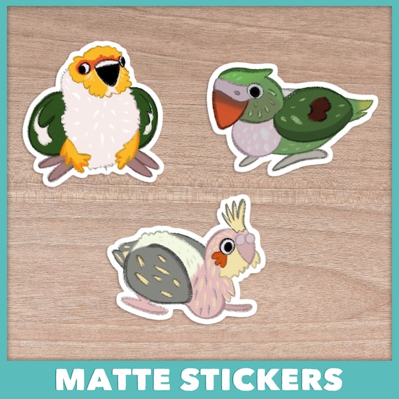 Baby Parrot Stickers