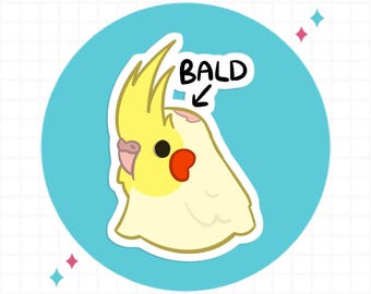 May include: A sticker featuring a cartoon cockatiel with a yellow crest, a white body, and orange cheek patches. An arrow points to a small pink spot on the bird's head with the text BALD written above it, all set against a bright blue circle.