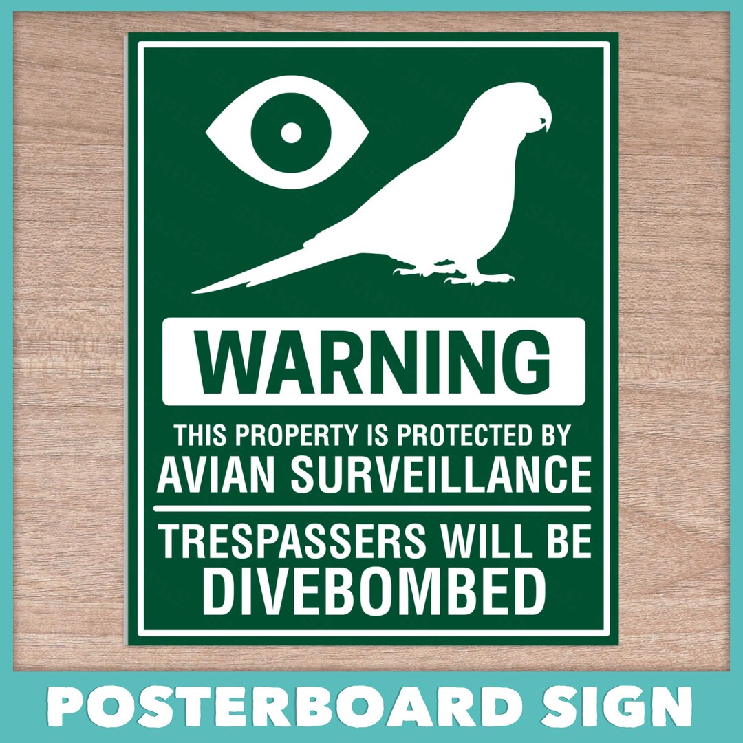 Avian Surveillance Posterboard Sign - Etsy