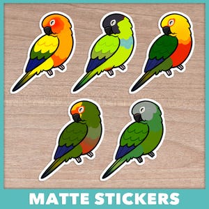 Stickers voor dwarsliggers Conure (Aratinga)