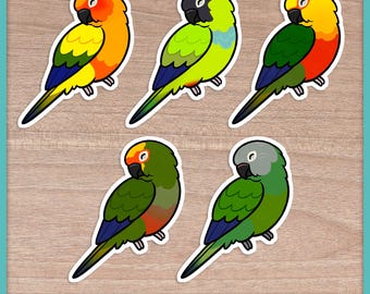 Conure (Aratinga) Sleepers Stickers