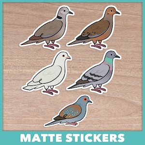 Dove and Pigeon (Cuties) Stickers