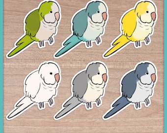 Quaker Parrot Stickers