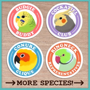 Parrot Species Club Stickers