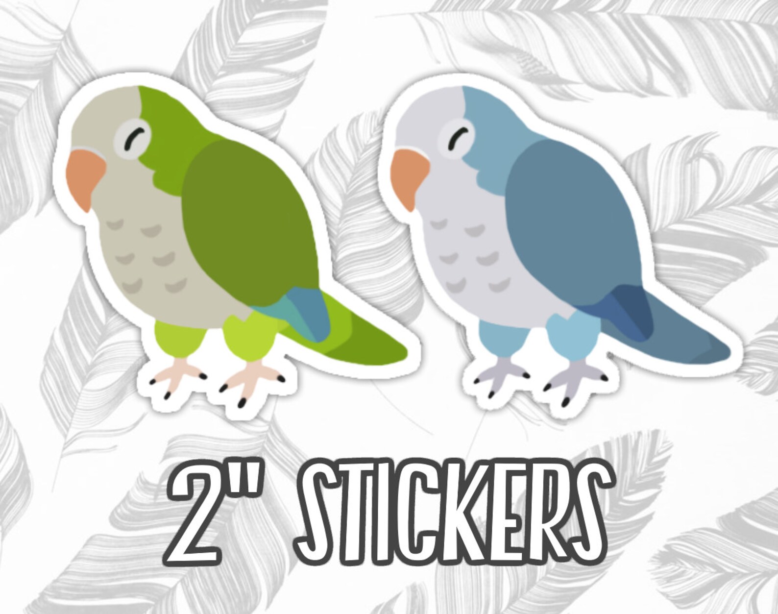 2 Waterproof Quaker Parrot Stickers Etsy