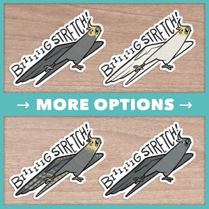 Grote stretch stickers valkparkiet