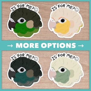 Pegatinas de la cotorra Pyrhurra Is For Me