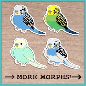Budgie (Budgerigar) Stickers