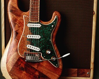 Meek gitaren-visgraat Stratocaster