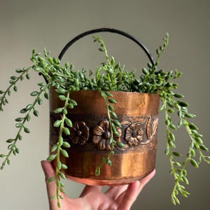 May include: A copper-coloured planter with a black handle, filled with green trailing plants. The planter has a band of embossed floral designs around its circumference. The planter is held by a person.