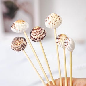 Puede incluir: Una colección de palillos decorativos con conchas marinas. Cada palillo presenta una pequeña concha natural unida a un palillo de madera. Las conchas muestran una variedad de colores, incluyendo blanco, marrón y beige. El texto "TONKIN HANDICRAFT" es visible.