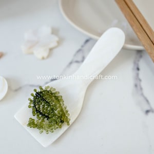 Mother of Pearl Spoon, Seashell Scoop, Natural Personalized Utensils, Eco friendly Tableware and dinnerware, Housewarming Gift