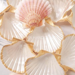 May include: An overhead shot of several white scallop shells with gold-painted edges. One shell in the center is pink and white. The shells are arranged in a decorative pattern. The text "TONKIN HANDICRAFT" is visible.