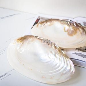 Mother of Pearl Medium Seashell Plate,Fruit Plate TableTop, Natural Personalized Utensils,Eco friendly Tableware and dinnerware