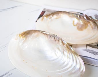 Mother of Pearl Medium Seashell Plate,Fruit Plate TableTop, Natural Personalized Utensils,Eco friendly Tableware and dinnerware