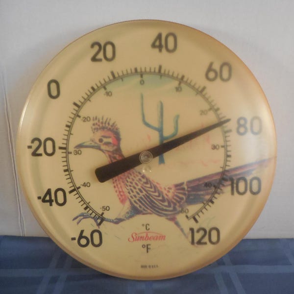 Vintage Sunbeam ROADRUNNER Saguaro Cactus THERMOMETER 12"* Plastic USA with Small Crack* Rare RT12