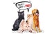 Custom Pet Pillow  Personalized Photo 3D Shaped Dog Cat Pet Pillow Gift Double-Sided Printing 