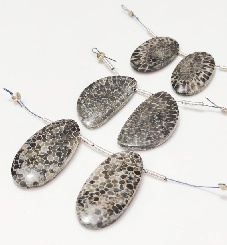 Puede incluir: Un conjunto de seis cuentas de coral fosilizado, cada una con un patr&oacute;n &uacute;nico de gris y negro. Las cuentas est&aacute;n enhebradas en alambre plateado y est&aacute;n listas para ser utilizadas en la elaboraci&oacute;n de joyas.