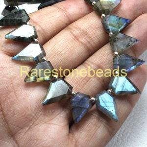 May include: A strand of faceted labradorite gemstone beads in shades of blue, green, and gray. The beads are shaped like arrowheads and are strung on silver wire.