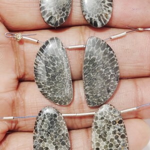 Puede incluir: Tres pares de cuentas de coral fosilizado de forma ovalada, cada par enhebrado en un alambre de plata. Las cuentas son de color gris claro con un patr&oacute;n gris oscuro.