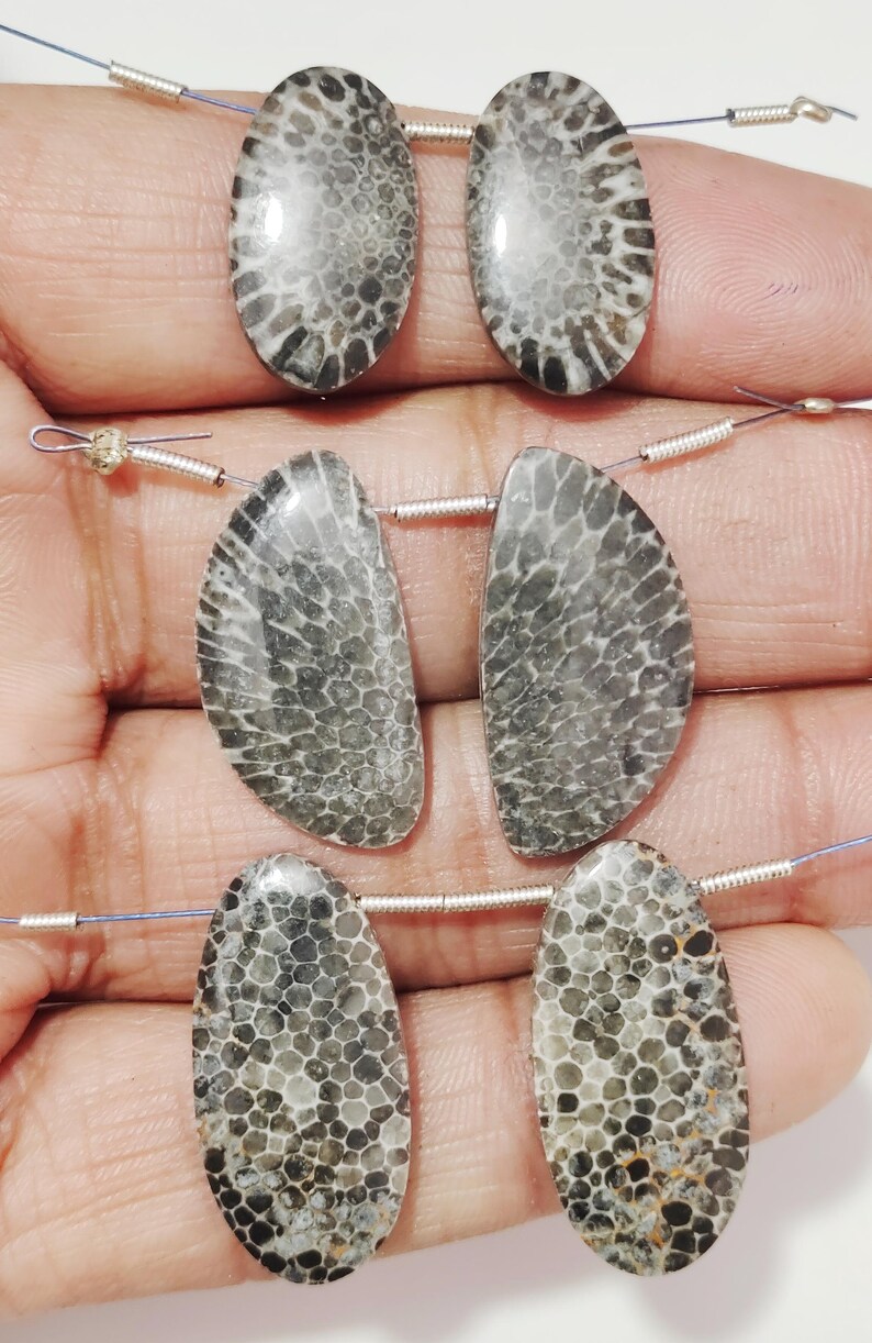 Puede incluir: Tres pares de cuentas de coral fosilizado de forma ovalada, cada par enhebrado en un alambre de plata. Las cuentas son de color gris claro con un patr&oacute;n gris oscuro.