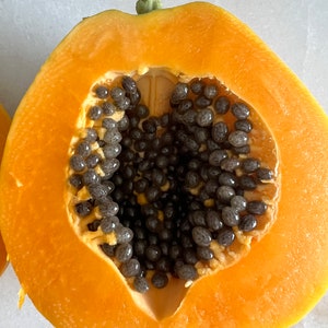 Solo papayas from Hawaii  20 seeds -WAIMANALO