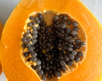 Solo papayas from Hawaii  20 seeds -WAIMANALO
