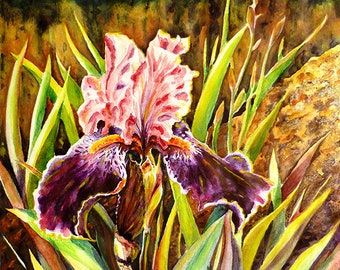 Purple Iris Flower Original Watercolor Painting Floral art Summer Flowers Purple flowers Garden Nature Botanical Gardening Purple and Green