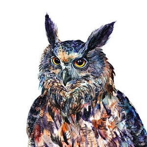 Eagle-owl Wall Art Print Bubo Bubo Bird of Prey Owl Watercolor Painting Owls Wildlife Birds Nature Woods Forest Owl Portrait Hunters Decor