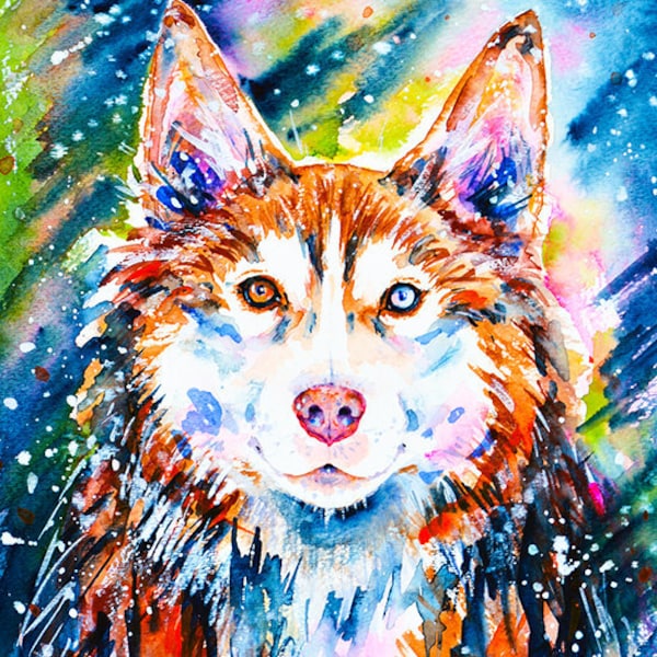 Colorful Husky Dog Portrait Art Print Siberian Husky Watercolor Painting Dog Eyes Pet Portrait Dogs Sled-dog Heterochromia Iridis Winter Dog