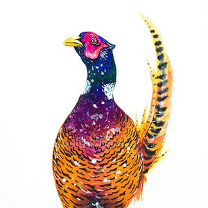 Colorful Pheasant Wall Art Print Wildlife Watercolor Painting Gamebird Orange Ring-necked Pheasant Blue Purple Pink Vibrant Bold Colors Art