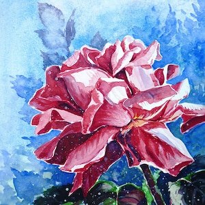 Pink Rose Flower Original Watercolor Painting Roses Floral Art Rose Garden Flowers Plants Botanical Nature Gardening Summer Blossom Rose Art