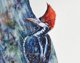 Crimson-crested Woodpecker Original Watercolor Painting Woodpeckers Bird Wildlife Woods Birds Tree Forest Nature Red and Blue Colorful Art
