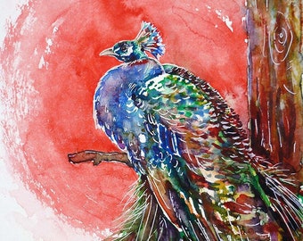 額入り水彩画壁掛け 孔雀 Geucled Plumes 1280 額入り水彩画壁掛け 孔雀 Geucled Plumes 1280 楽天市場】孔雀 アート