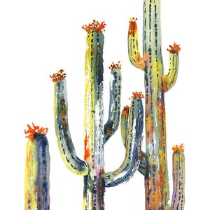 May include: Watercolor painting of a group of cacti with green, yellow, and orange hues. The cacti are tall and slender with a few branches. The painting has a white background.
