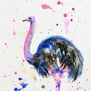 Colorful Ostrich Original Watercolor Painting Ostrich Bird Wall Art Birds Wildlife Nature Splashes Splatter Bold Colors Pink and Blue Art