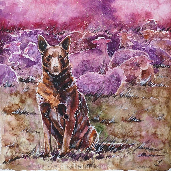 Australian Kelpie Dog Original Watercolor Painting Shepherd Dog Working Red Kelpie Australia Sheep and Dogs Purple Brown Farm Rustic Ranch