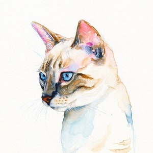 リンクスポイントシャム猫の肖像画 ウォールアートプリント