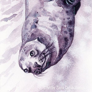 Sea Lion Original Watercolor Painting Harbor Seal Sea Lions Pinnipeds Art Marine Animals Ocean Underwater Life Shore Coastal Home Decor