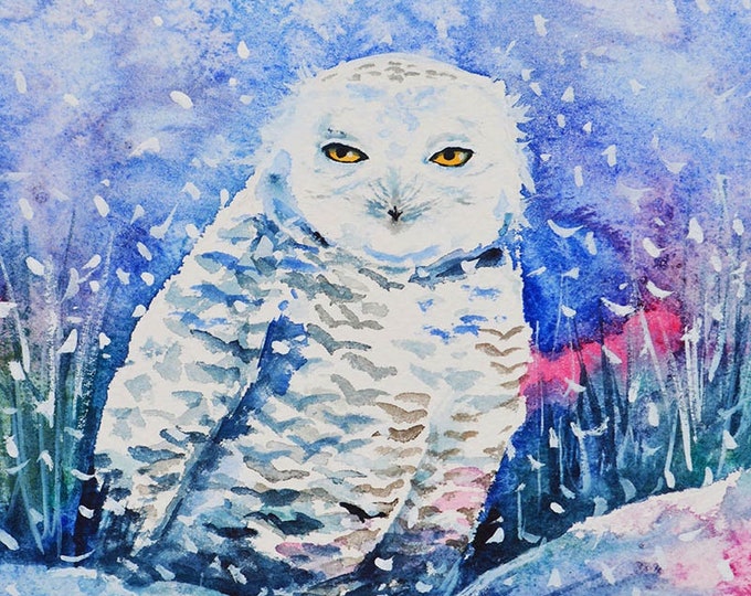 Snowy Owl Watercolor Fine Art Print Winter Bird Painting Bird Watchers ...