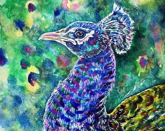 孔雀の絵 - オリジナルの水彩画からのプリント、「虹色」、鳥、孔雀の