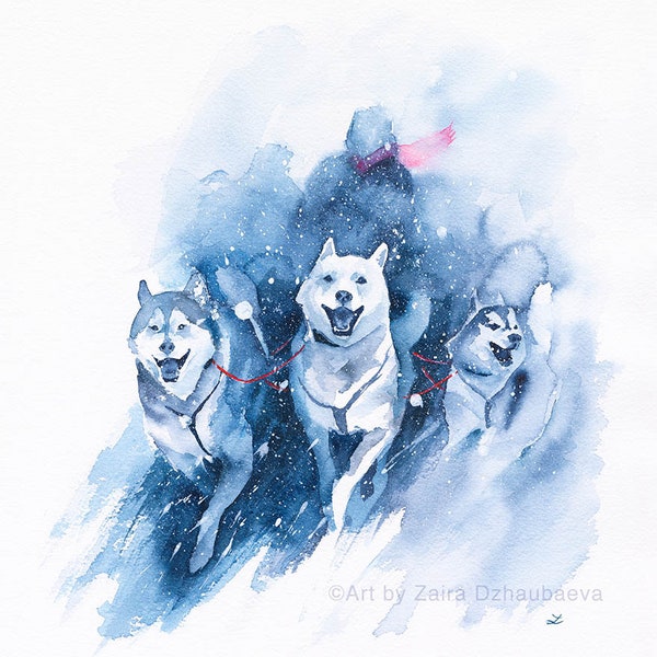 Sled Dogs Print Siberian Husky Mush Mushing Musher Dog Sport Samoyed Alaskan Malamute Chinook Watercolor Art Arctic Nunavut Winter Racing